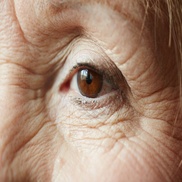 Age-Related Macular Degeneration (AMD) 2021-2026